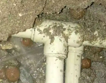 文圣测漏水多少钱