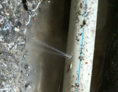 文圣测漏水哪家好