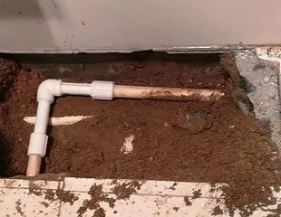 文圣测漏水哪家好