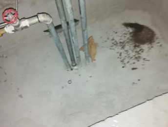 文圣卫生间测漏水价格明细