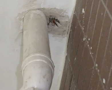 文圣漏水检测哪家好